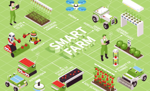 IoT in Agriculture: Leveraging Technology for Sustainable Farming